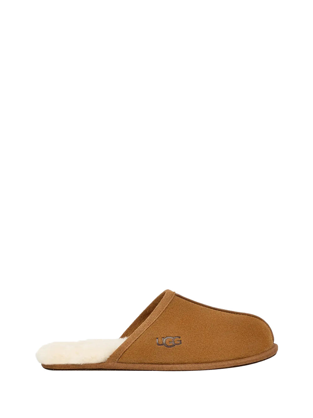 UGG Ugg CiabatteScuff Uomo Beige Beige